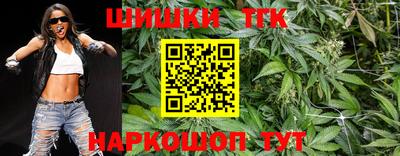 PSILOCYBIN Можайск