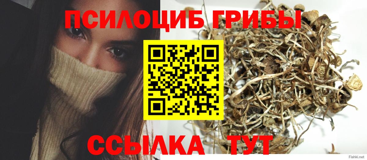 Псилоцибиновые грибы прущие грибы Саратов